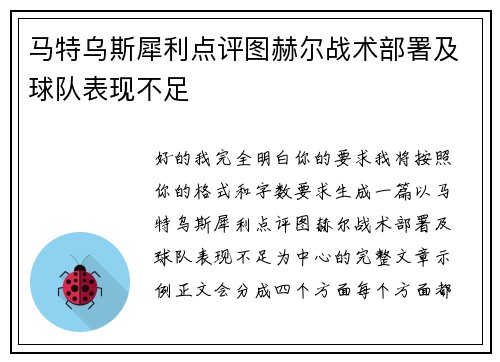马特乌斯犀利点评图赫尔战术部署及球队表现不足
